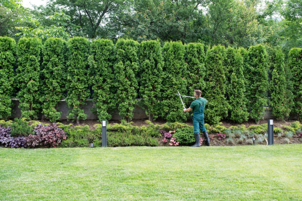 Lawn Irrigation Installation and Maintenance in Marienville, PA